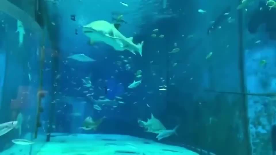 永恒之柱2