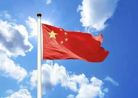 狗子乖坐在购物袋里冲主人眼神施压：买点我爱吃的！