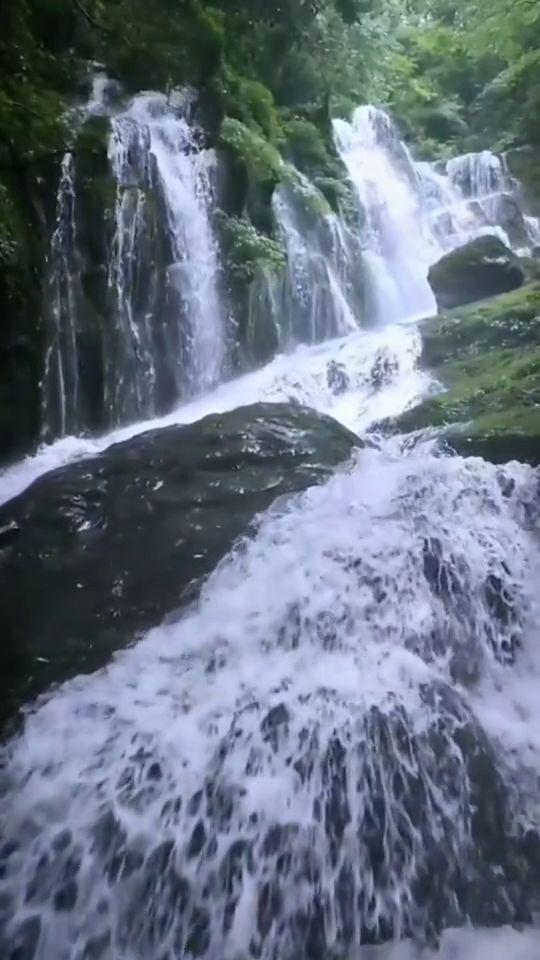 山东省济阳县发布大雾黄色预警