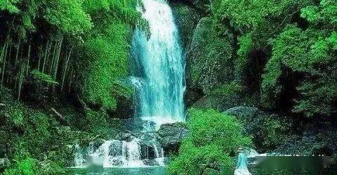 《甄嬛传》温太医:民国“汪精卫”,为疯批角色久久为念