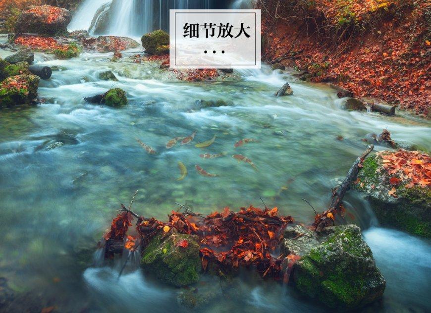 防御阵型2