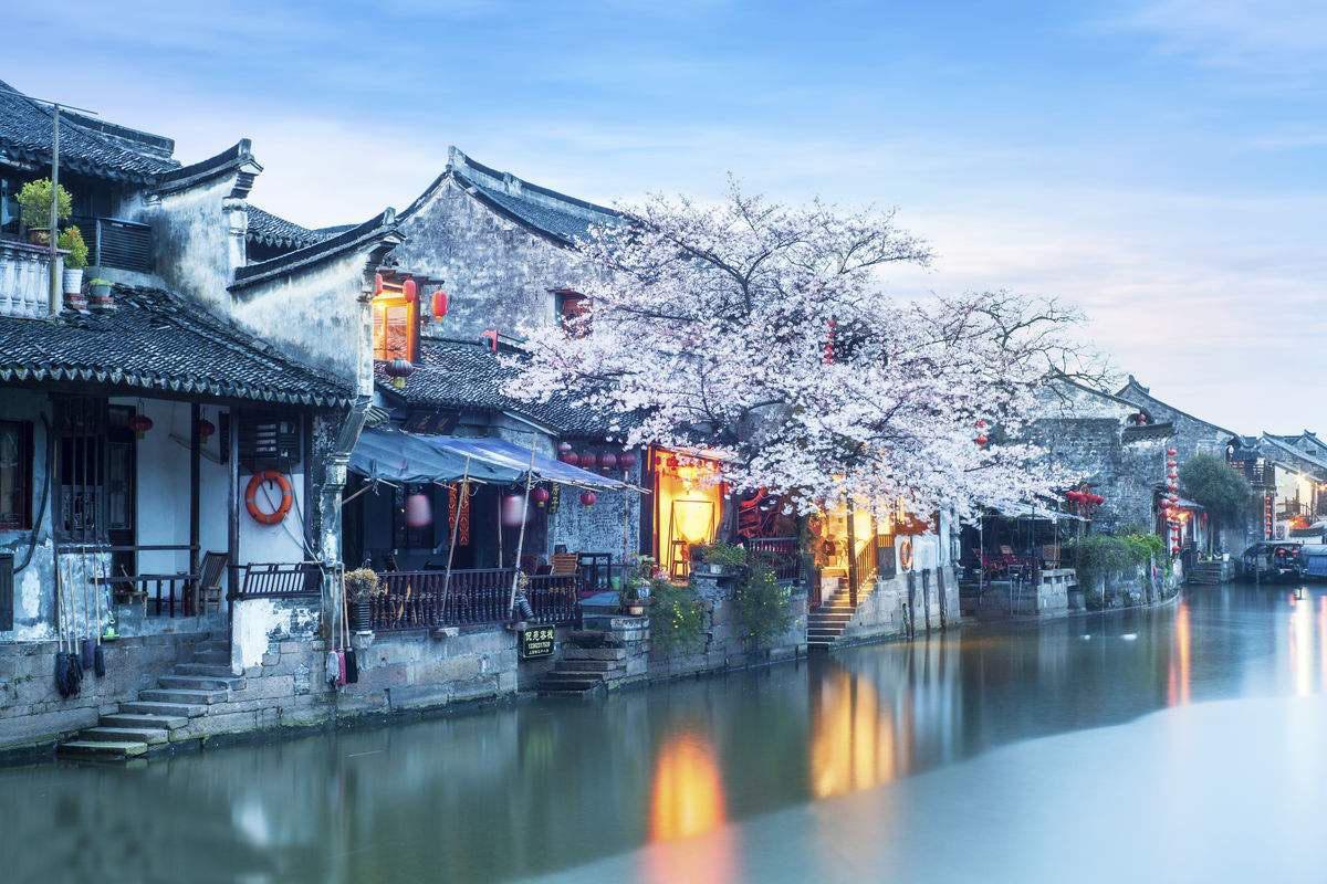 植物大战僵尸15